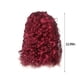 thumbnail image 4 of Xihbxyly Peluca de Cabello Corto Rizado de Mediana Altura, Peluca Natural de Moda, Alta Temperatura, Peluca de 17,71 Pulgadas de Largo para Mujeres, Uso Diario, 4 of 6