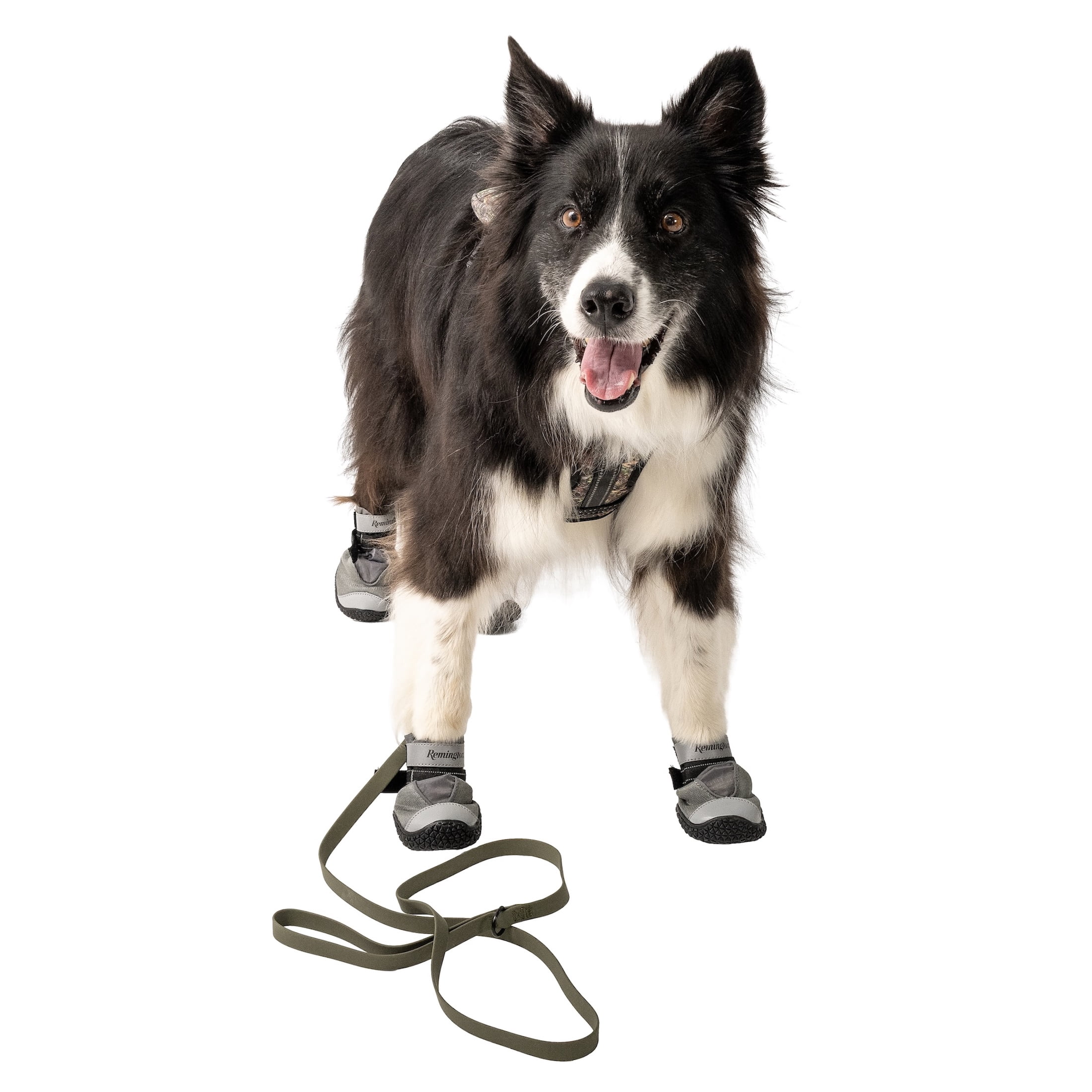 Remington Coated Dog Leash, Sage, 4ft