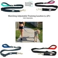 thumbnail image 7 of Black Rhino - The Comfort Collar Ultra Soft Neoprene Padded Dog Collar for All Breeds - Heavy Duty Adjustable Reflective Weatherproof (Large, Aqua/Grey), 7 of 7