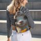 thumbnail image 5 of Easygdp Adorable Llama In Flowers Mochila de Lona Resistente para Laptop, Compatible con Laptops de 15 a 17 pulgadas, Ideal para Escuela, Trabajo y Viajes-Small, 5 of 5