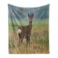 thumbnail image 1 of Hunting Soft Flannel Fleece Throw Blanket, Roe Deer Male Capreolus Western European Wildlife Fauna Flora Meadow Field Grass, Cozy Plush for Indoor and Outdoor Use, 60" x 80", Multicolor, by Ambesonne, 1 of 6