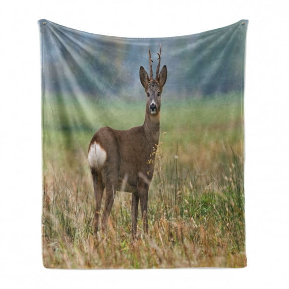 Hunting Soft Flannel Fleece Throw Blanket, Roe Deer Male Capreolus Western European Wildlife Fauna Flora Meadow Field Grass, Cozy Plush for Indoor and Outdoor Use, 60" x 80", Multicolor, by Ambesonne