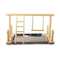 thumbnail image 6 of Bird Perch Play Wooden Stand Gym Playground For Conures Parakeet Macaw Finches, 6 of 7