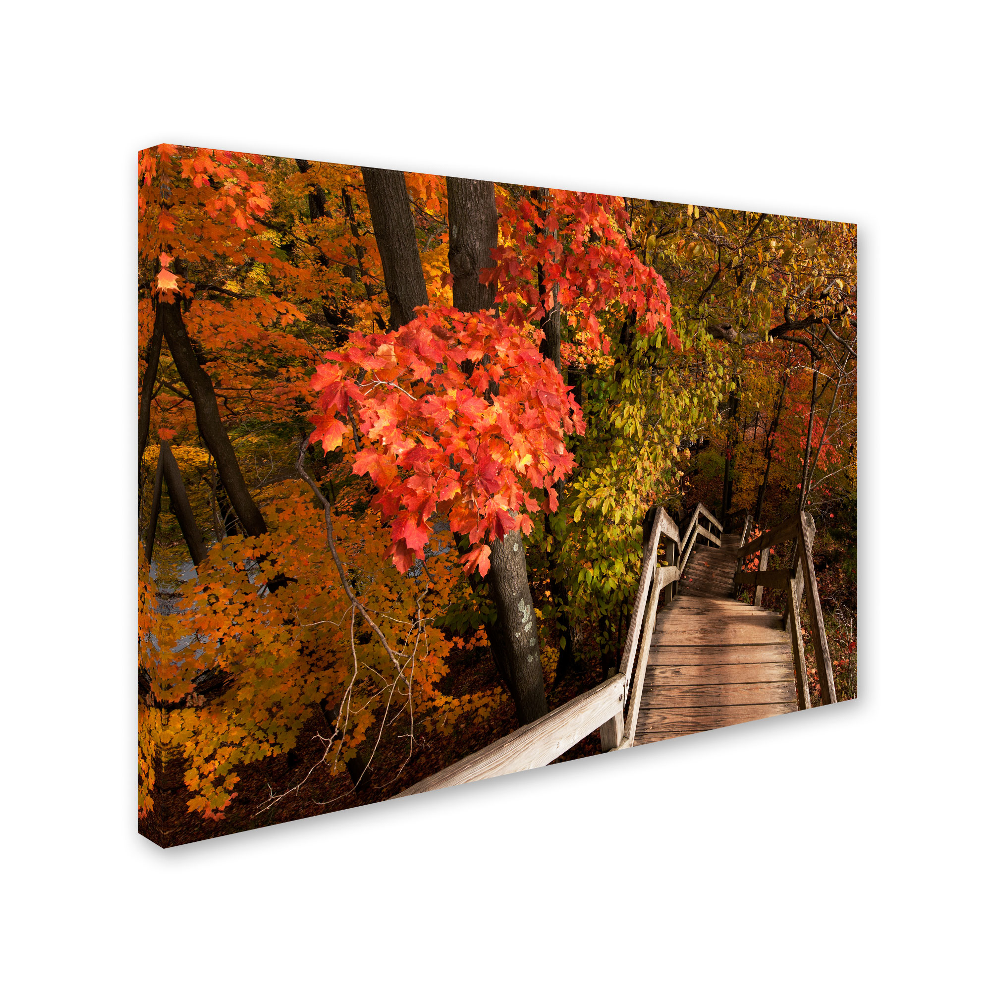 Trademark Fine Art "Brilliant Autumn Stairway" Canvas Art by Kurt Shaffer
