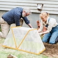 thumbnail image 4 of Collapsible Garden Greenhouse Seedling Cover Transparent Plant Cover For Seedling Protection, Yellow L1* Seedling Tent, 4 of 6