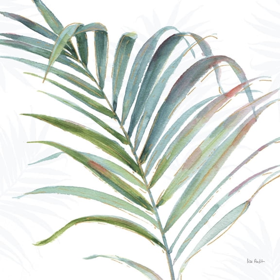 Art.com Tropical Blush V Art Print by Lisa Audit, 16" x 16"