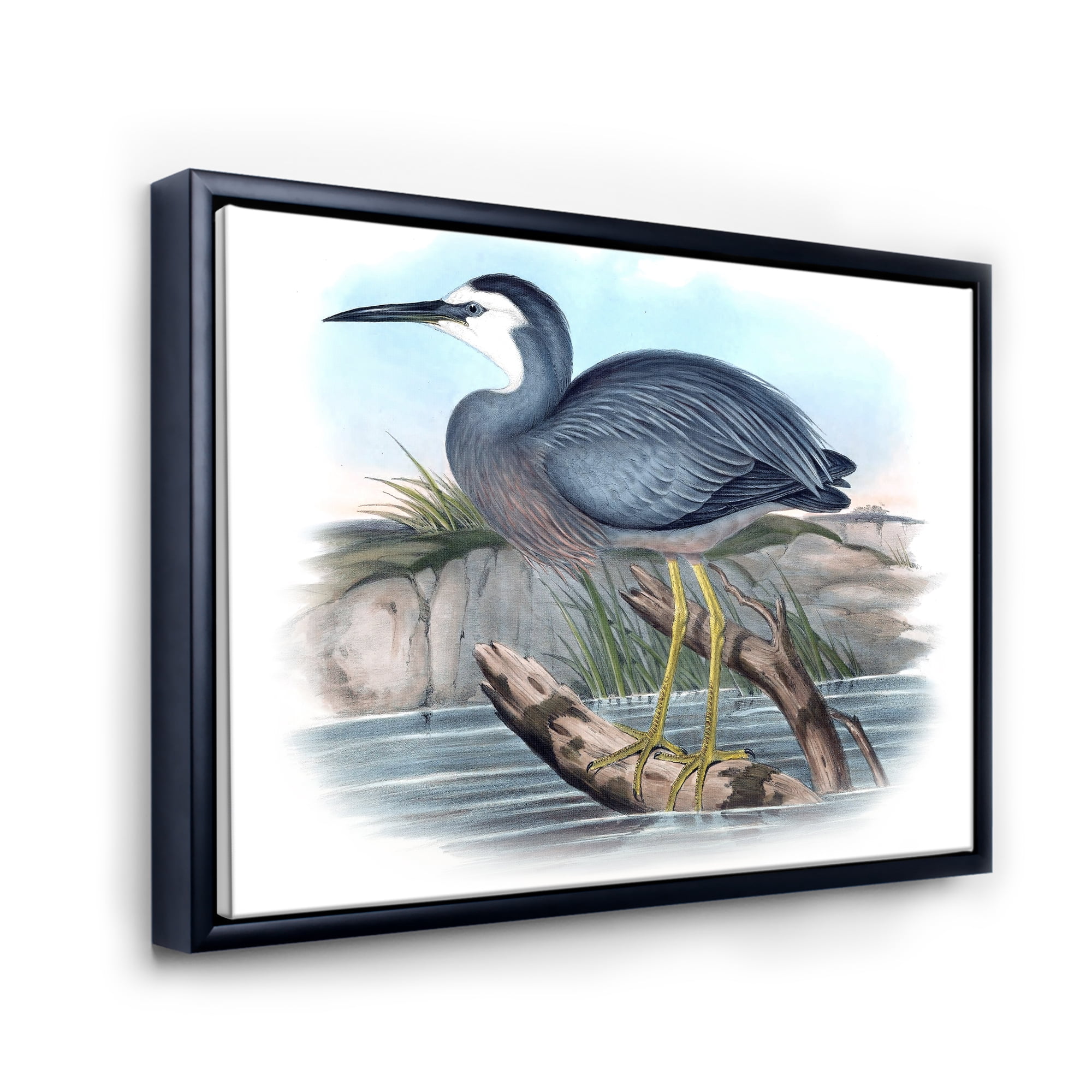 Designart 'Ancient Australian Birds II' Traditional Framed Canvas Wall Art Print