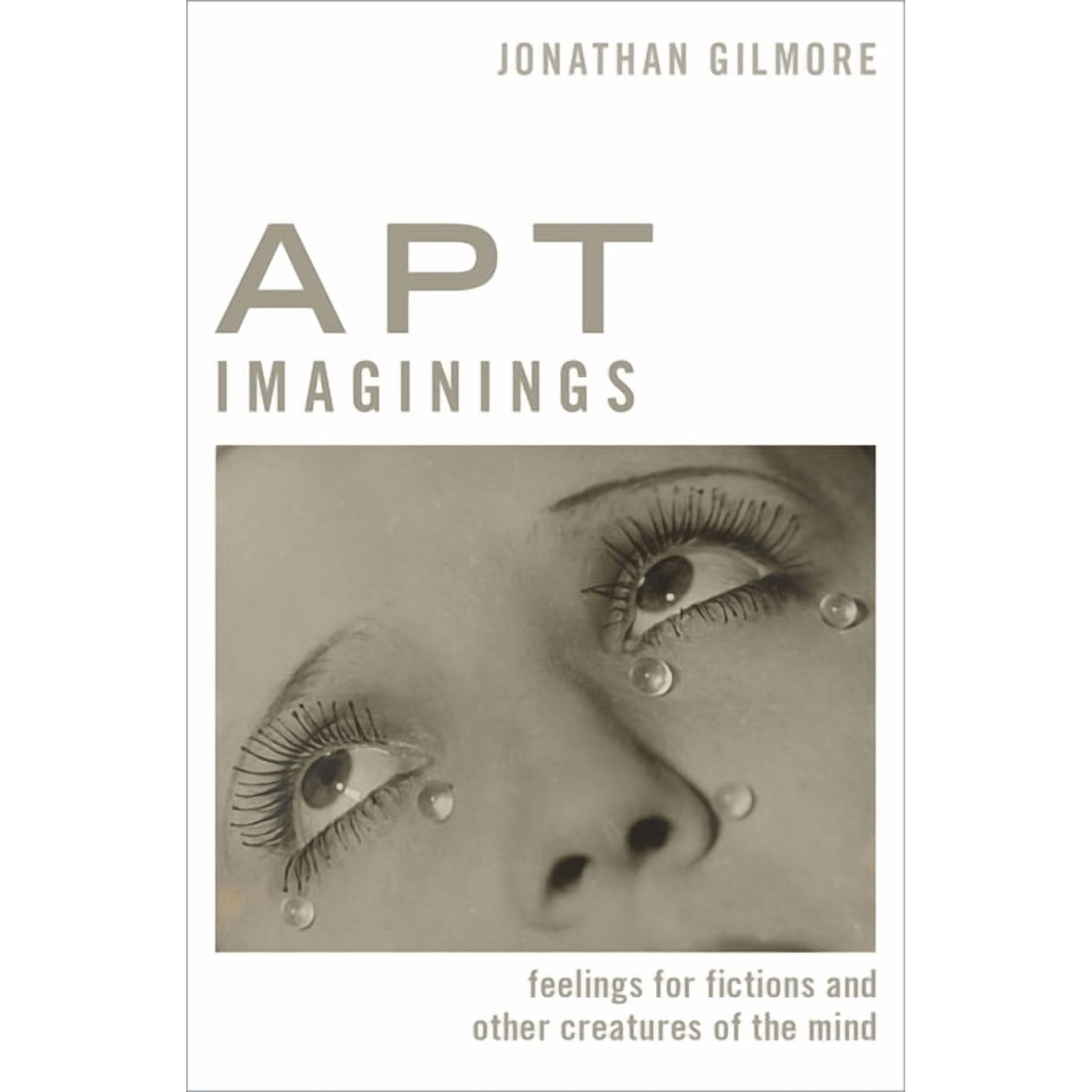 Thinking Art Apt Imaginings: Feelings for Fictions and Other Creatures of the Mind (Hardcover)