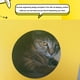thumbnail image 4 of Pisexur Suministros para mascotas Caja de queso Caja de arena Tablero rascador corrugado incorporado Tumbona de casa con núcleo reemplazable perros, gatos y animales.perros, gatos y animales, 4 of 5