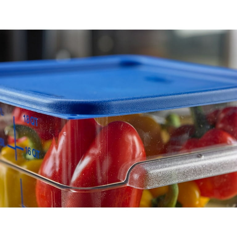 Squares Food Storage Container Lid, 11.38 x 11.38 x 0.63, Blue, Plastic Squares Food Storage Container Lid, 11.38 x 11.38 x 0.63, Blue, Plastic