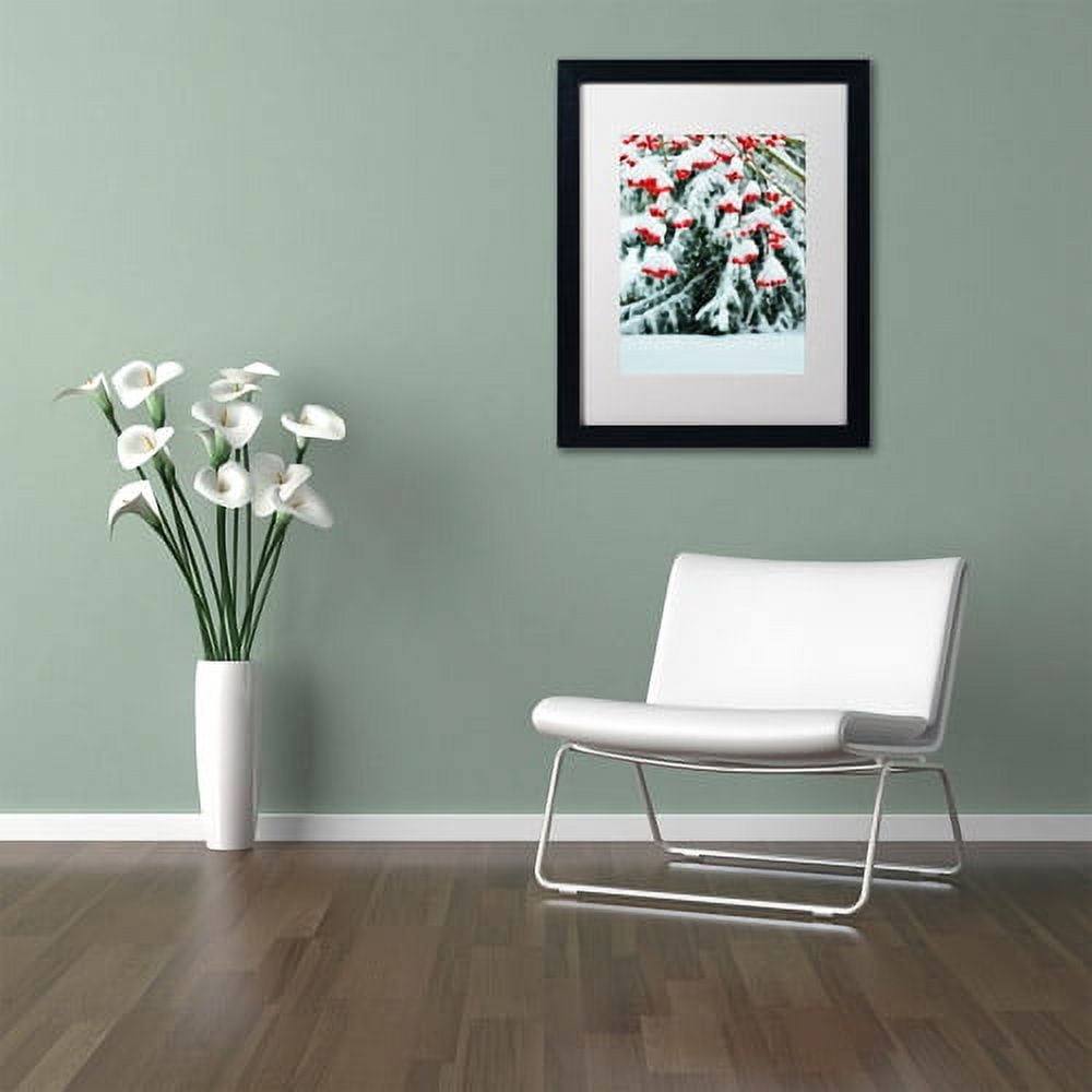 Trademark Fine Art "Winter Berries and Pine" Canvas Art by Kurt Shaffer White Matte, Black Frame