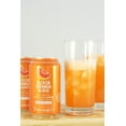 thumbnail image 3 of AmishTastes Frannies Blood Orange Bliss Sparkling Beverage, Protected With High-Density Foam, 12 Oz. Pack of 8, 3 of 6