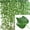 Grape Vines, variant on LOVE DOCK 12pcs 2M Ivy green Fake Leaves Garland Plant Vine Foliage Home Decor Plastic Rattan string Wall Decor Artificial Plants (Watermelon)