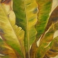 thumbnail image 2 of Pinto, Patricia 15x15 Black Ornate Wood Framed with Double Matting Museum Art Print Titled - Uraba II, 2 of 4