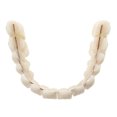 thumbnail image 3 of 1 Juego de dentadura postiza de resina, modelo de enseñanza de dientes dentales, dentadura postiza de resina para pacientes con pérdida de cavidad bucal, accesorio de suministro dental, 3 of 4