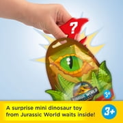 Imaginext Jurassic World Mystery Toy Dinosaur & Adventure Accessory (1 Character; Styles May Vary)