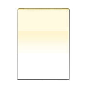 Zapco High-Security Check Paper, Organic w Complex Background Pattern, 8-1/2" x 11", Microperfed with 1-Up Check, 12 Security Features - PACK OF 100 SHEETS
