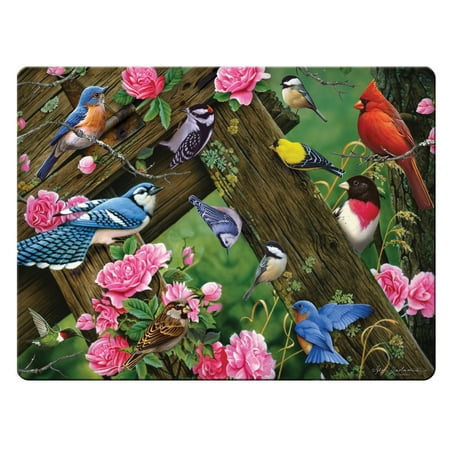 

Rivers Edge Products Tempered Glass Cutting Board 12 by 16 Inches Song Bird