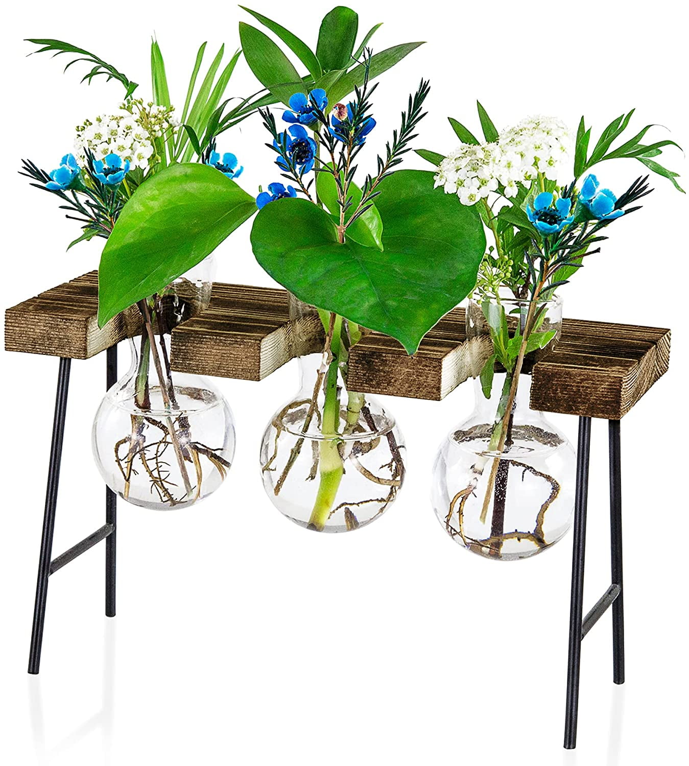 Air Plant Terrarium, Desktop Glass Planter Bulb Glass Vase with Wooden