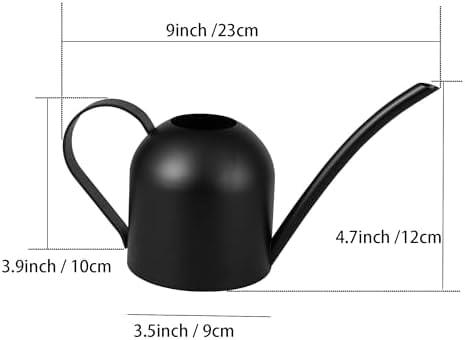 Small Watering Can for Indoor Plants Stainless Steel Watering Can with Long Spout 15oz/450ml, (Black)