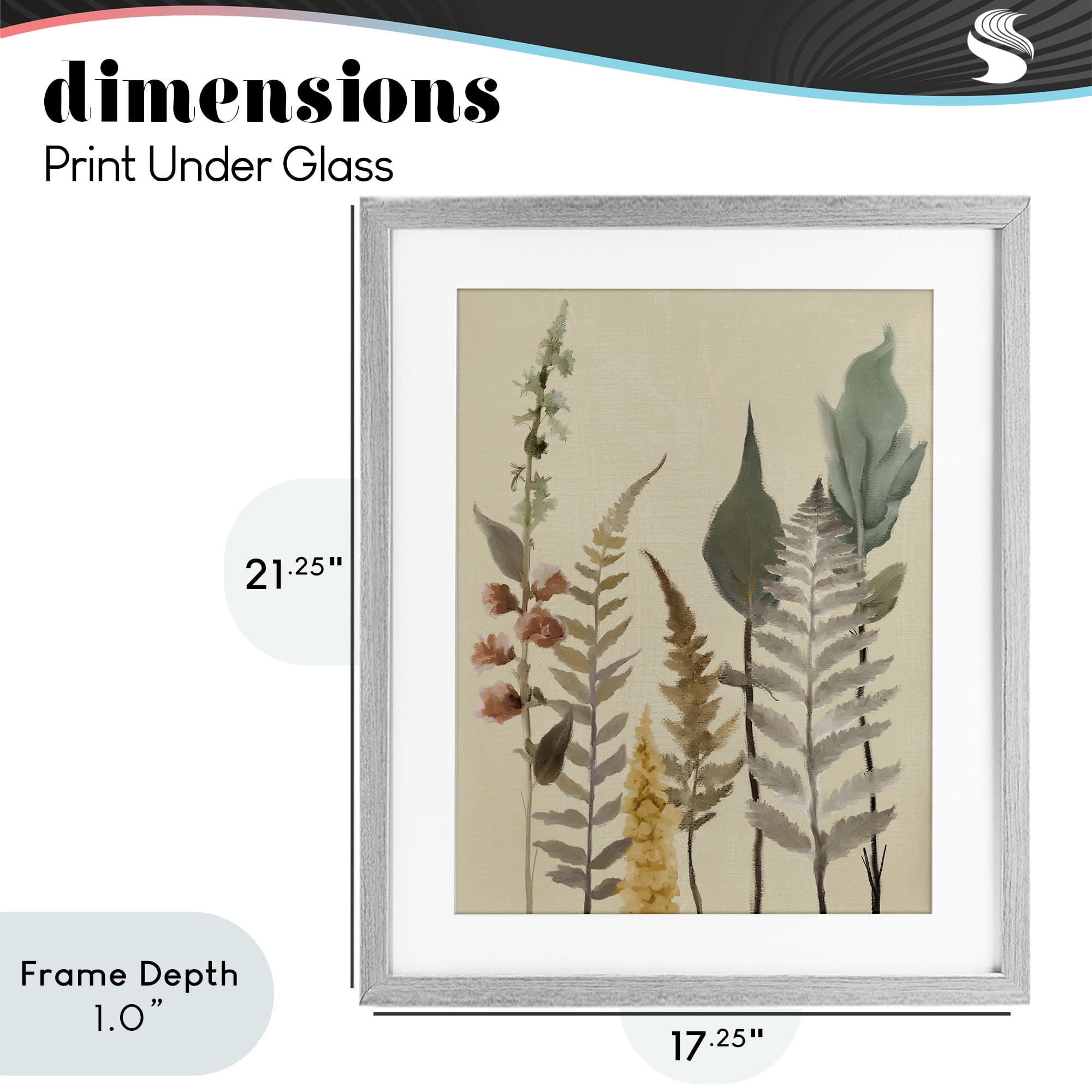 Stupell Industries Fall Botanicals Forest Ferns Gray Framed Print Under Glass, design by Elizabeth Medley