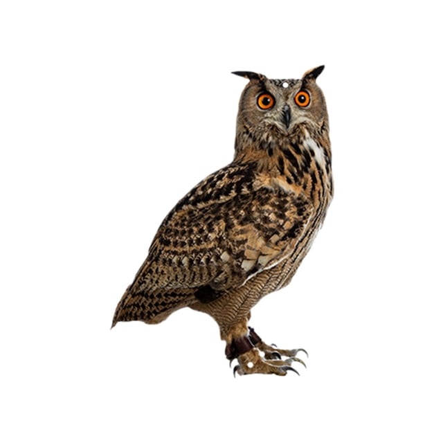 CHENMEI Dorugage Owl Bird Scare Flat Scarers with Reflective Tape for Garden