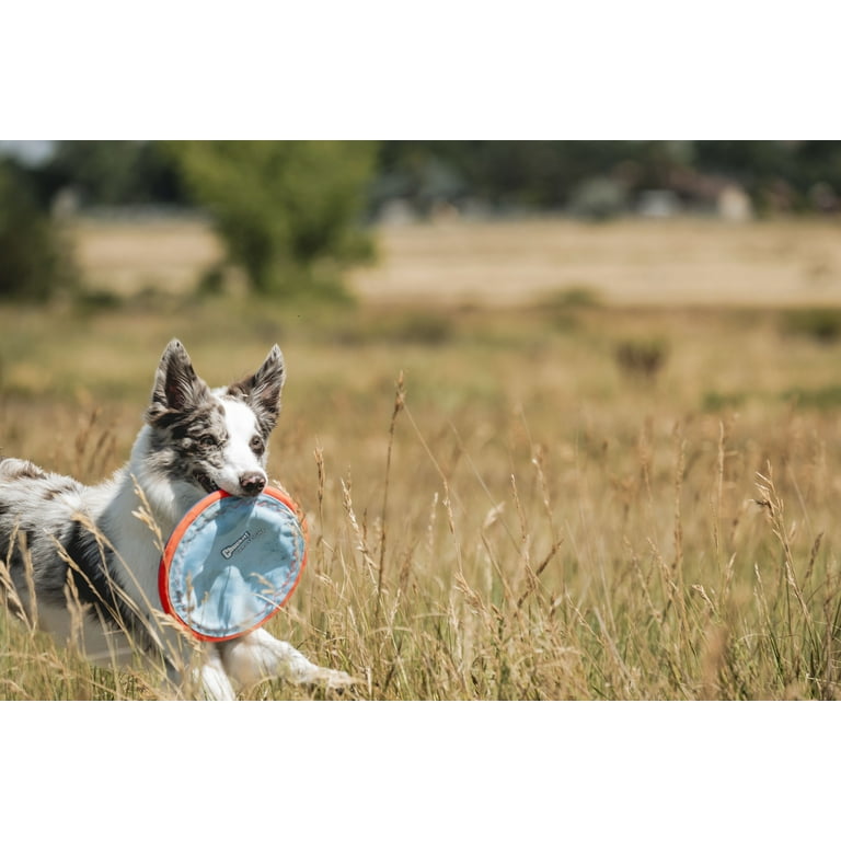 Chuckit!, Flying Disc, 6.5