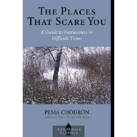 Pre-Owned The Places That Scare You: A Guide to Fearlessness in Difficult Times (Paperback 9781570629211) by Pema Chodron