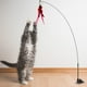 thumbnail image 4 of Juguete de repuesto para gato con gusanos para rascar, 4 of 5