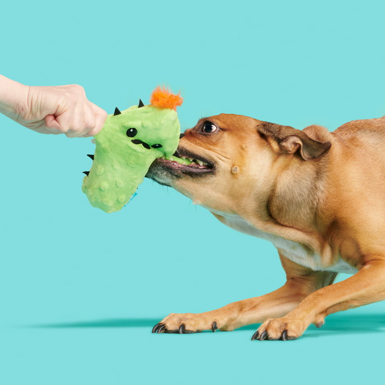 Dog Squeaky Toys - Peteast