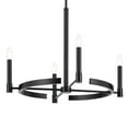 thumbnail image 2 of 52426BK Kichler Lighting Tolani - 4 Light Chandelier-20.25 Inches Tall and 26 Inches Wide-Black Finish, 2 of 7