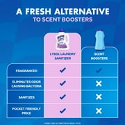 (2 pack) Lysol® Laundry Sanitizer Additive, Eliminates Odor Causing Bacteria, Lavender Fusion, 90 fl oz