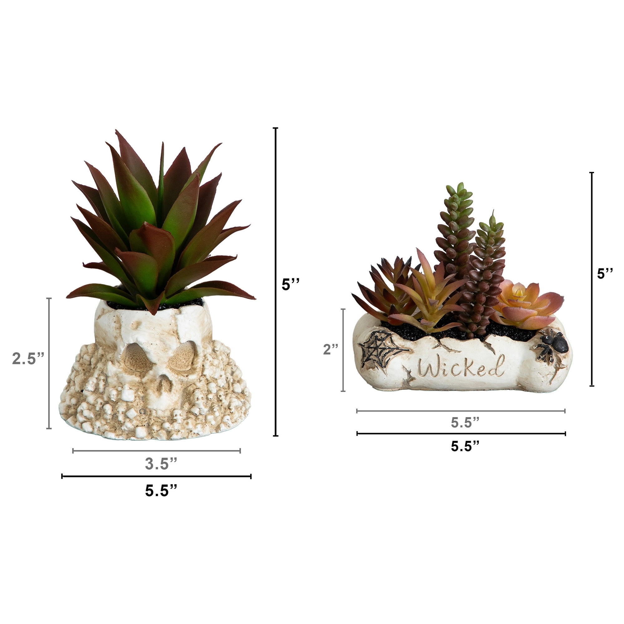 5in. Artificial Halloween Succulent Garden in Haunted Planter - Set of 2