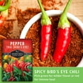 thumbnail image 6 of Bird's Eye Thai Pepper Seeds - Non-GMO Heirloom Full Sun Annual Vegetable (2 Packs), 6 of 8