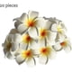 thumbnail image 1 of 20 Pieces Water Floating Plumeria Artificial Flower Frangipani For Pool, 1 of 5