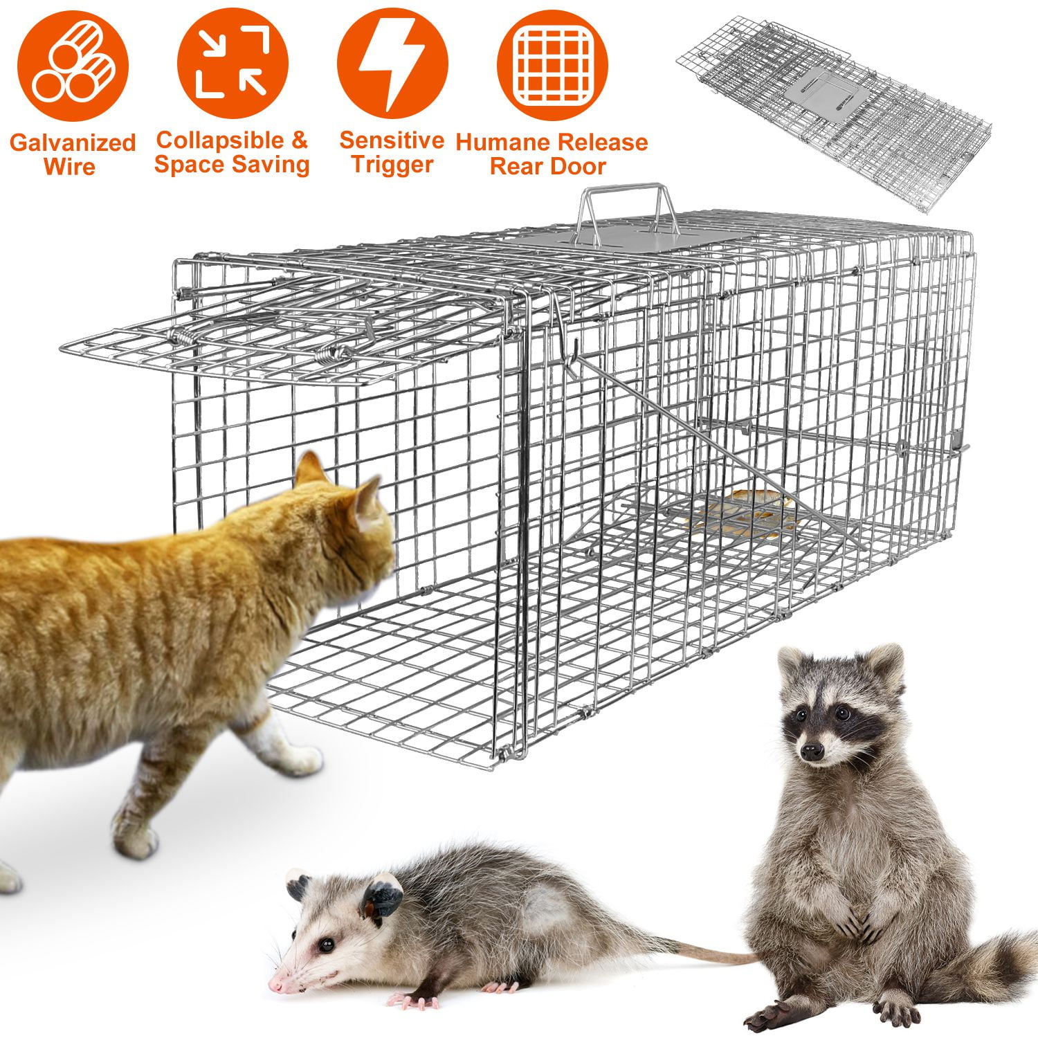 iNova 32in Cage Trap for Live Animals, Cat Trap Cage, Large Collapsible