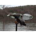 thumbnail image 4 of MOJO Outdoors Elite Series Redhead Waterfowl Spinning Wing Decoy, 1 Piece, 4 of 4
