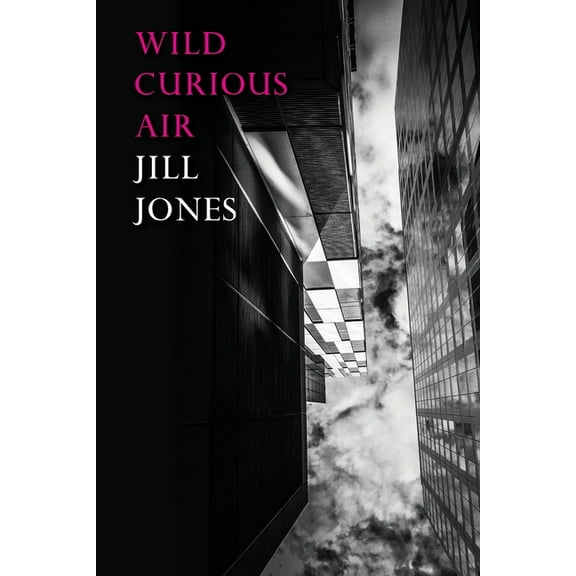 Wild Curious Air, (Paperback)