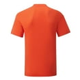 thumbnail image 2 of Fruit of the Loom Mens Iconic 150 T-Shirt, 2 of 4