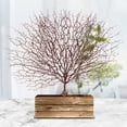 thumbnail image 4 of vivo, de árbol seco, plantas decorativas de simulación, de plástico para , patio, decoración de de , Colco Ramas de coral falsas, 4 of 8