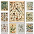 thumbnail image 2 of Pósteres y grabados al óleo sobre lienzo de arte mural clásico vintage con plantas, hongos, medicinas, flores, insectos, mariposas, verduras, calabazas y zanahorias, 2 of 5