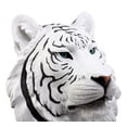 thumbnail image 4 of Rare Blue Eyed White Tiger Wall Bust Sculpture Blue Ice Predator Forest Figurine, 4 of 4