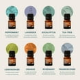 thumbnail image 4 of Cliganic Organic Aromatherapy Set - Top 8 Essential Oils - 8x0.17oz, 4 of 9