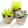 thumbnail image 1 of Set of 3 Mini Artificial Succulent Plants Decoration Artificial Potted Plant Green Artificial Plants, 1 of 5