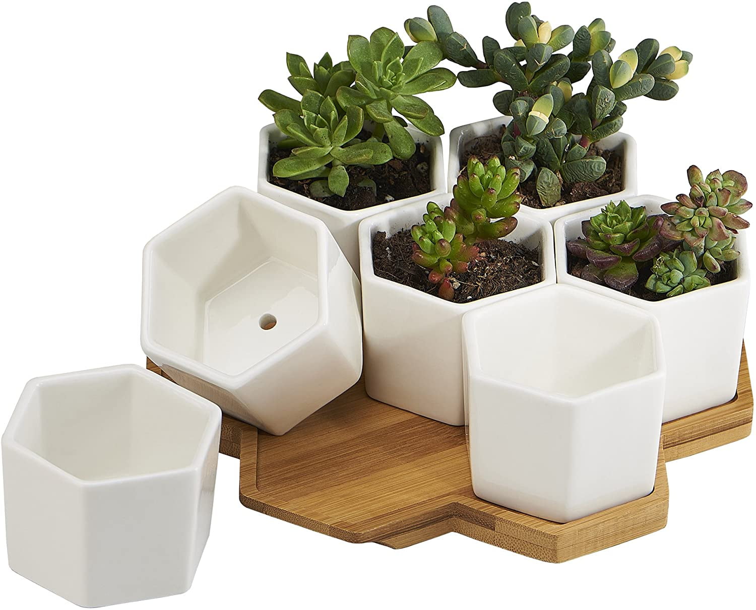 Planter Pots Indoor, 7 Pack 2.75 Inch Modern White Ceramic