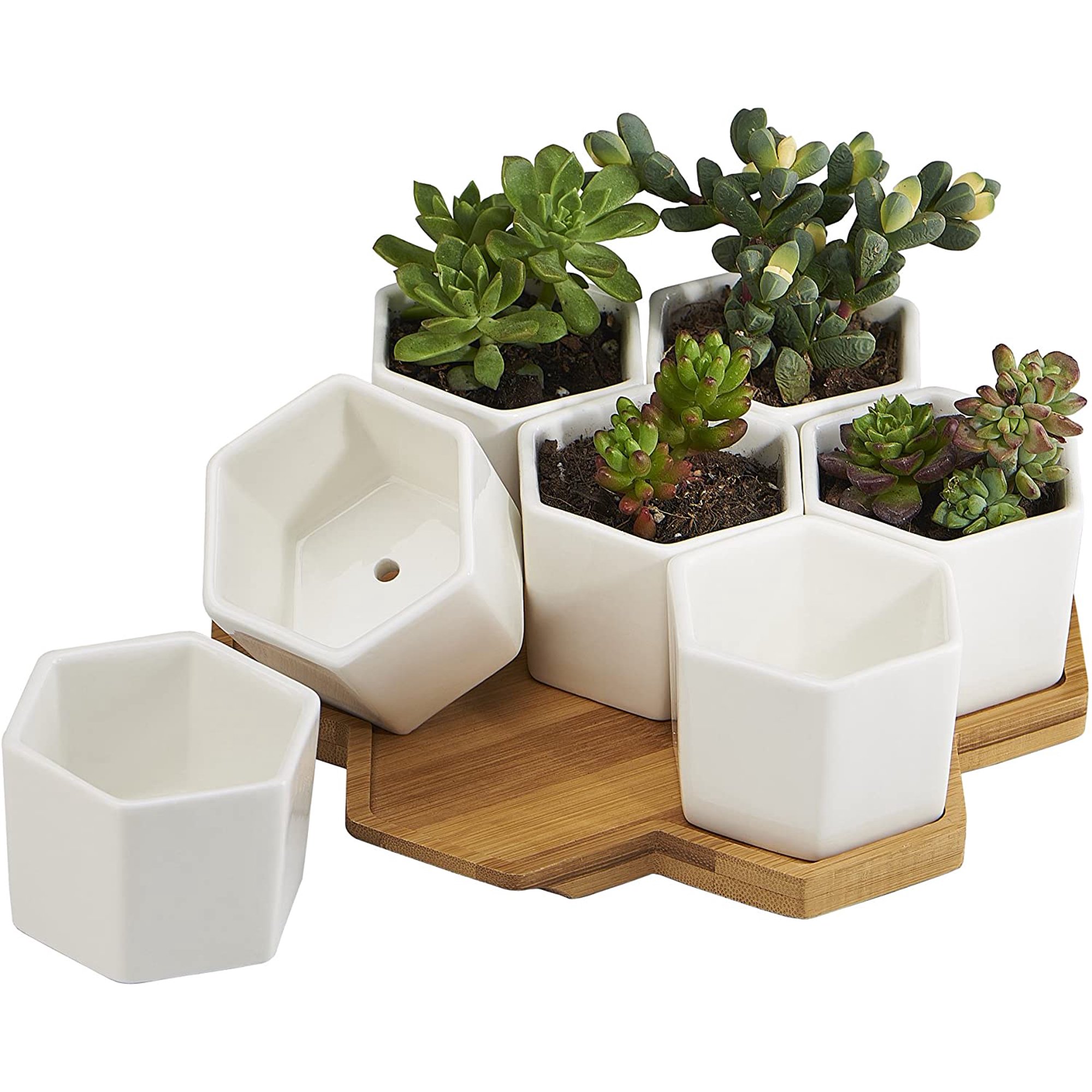 Planter Pots Indoor 7 Pack 2 75 Inch Modern White Ceramic Small Hex Succulent Cactus Flower Plant Pot With Bamboo Tray For Indoors Outdoor Office Home Garden Kitchen Decor Hexagon Walmart Canada