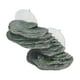 thumbnail image 5 of Plataforma De Escalada De Tortuga, Escalera De Ejercicio De Muelle De Descanso De Reptil Libre De Tóxicos Realista Con Ventosa Para Lagarto Para Pecera, 5 of 8