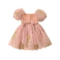 thumbnail image 1 of Gupgi Bambin Filles Robe de Fleur 12M 18M 24M 3T 4T Enfants Manches Courtes Robe en Mesh Froncé Robes de Princesse Bébé Été, 1 of 8