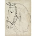 thumbnail image 2 of Art.com Horse in Bridle Sketch II Stretched Canvas Print Wall Art by Jennifer Parker, 12" x 16", 2 of 4