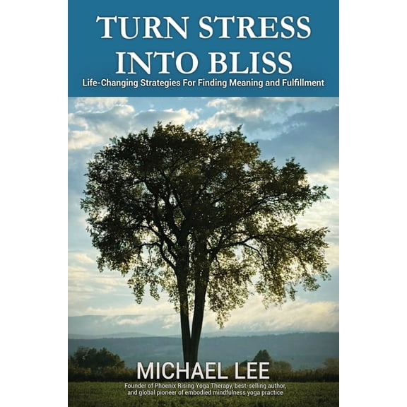 Turn Stress Into Bliss: Life-changing strategies for finding meaning and fulfillment, (Paperback)